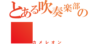 とある吹奏楽部の（カメレオン）