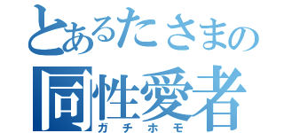 とあるたさまの同性愛者（ガチホモ）