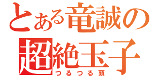 とある竜誠の超絶玉子（つるつる頭）