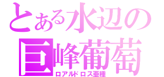 とある水辺の巨峰葡萄（ロアルドロス亜種）