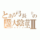 とある弓長 十專 火亘の超大陰莖Ⅱ（Ｐｅｎｉｓ）