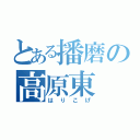 とある播磨の高原東（はりこげ）