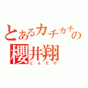 とあるカチカチの櫻井翔（とんだげ）