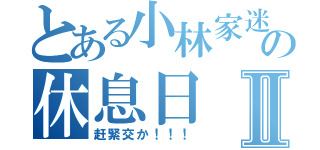 とある小林家迷の休息日Ⅱ（赶緊交か！！！）