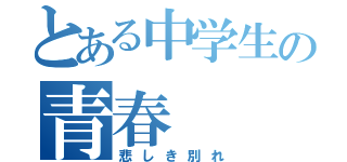 とある中学生の青春（悲しき別れ）