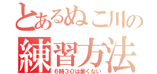 とあるぬこ川の練習方法（６時３０は暑くない）