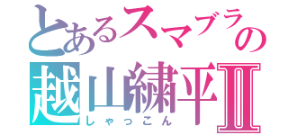 とあるスマブラの越山繍平Ⅱ（しゃっこん）