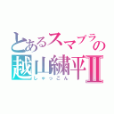 とあるスマブラの越山繍平Ⅱ（しゃっこん）