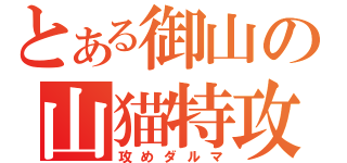 とある御山の山猫特攻隊（攻めダルマ）