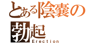 とある陰嚢の勃起（Ｅｒｅｃｔｉｏｎ）