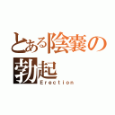 とある陰嚢の勃起（Ｅｒｅｃｔｉｏｎ）