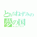 とあるねずみの夢の国（ディズニーランド）