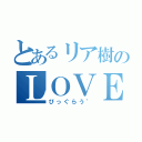 とあるリア樹のＬＯＶＥ♥ＬＯＶＥ ＬＩＦＥ（びっぐらう゛）