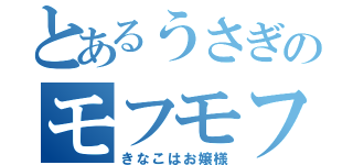 とあるうさぎのモフモフ生活（きなこはお嬢様）