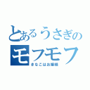 とあるうさぎのモフモフ生活（きなこはお嬢様）