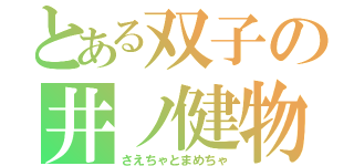 とある双子の井ノ健物語（さえちゃとまめちゃ）