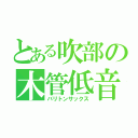 とある吹部の木管低音（バリトンサックス）