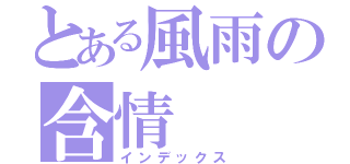 とある風雨の含情（インデックス）