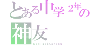 とある中学２年の神友（Ｎａｇｉｓａ＆Ｋｏｈａｋｕ）