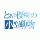 とある優樹の小型動物（ハムスター）