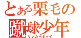 とある栗毛の蹴球少年（サッカーボーイ）