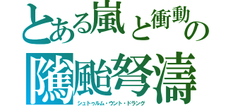 とある嵐と衝動「嵐と大波」の隲颱弩濤（シュトゥルム・ウント・ドラング）