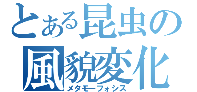 とある昆虫の風貌変化（メタモーフォシス）