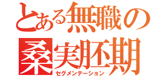 とある無職の桑実胚期（セグメンテーション）