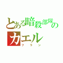 とある暗殺部隊のカエル（フラン）