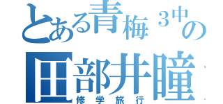 とある青梅３中の田部井瞳（修学旅行）