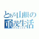 とある山根の重茂生活（ヤマネックス）