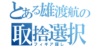 とある雄渡航の取捨選択（フィギア探し）