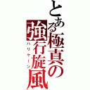 とある極真の強行旋風（ハリケーン）