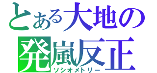 とある大地の発嵐反正（ソシオメトリー）