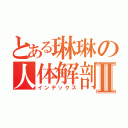 とある琳琳の人体解剖Ⅱ（インデックス）