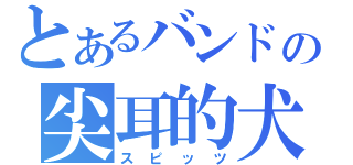 とあるバンドの尖耳的犬（スピッツ）