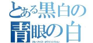 とある黒白の青眼の白龍（ブルーアイズ・ホワイトドラゴン）