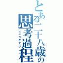 とある二十八歳の思考過程（しこうかてい）