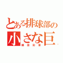 とある排球部の小さな巨人（横田彩音）