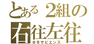 とある２組の右往左往（ホモサピエンス）