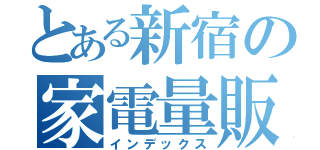 とある新宿の家電量販店（インデックス）