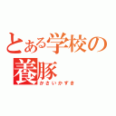 とある学校の養豚（かさいかずき）