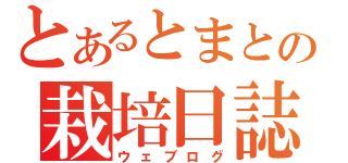 とあるとまとの栽培日誌（ウェブログ）