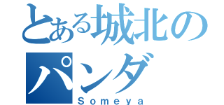 とある城北のパンダ（Ｓｏｍｅｙａ）