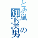 とある嵐の知的美男（櫻井翔）