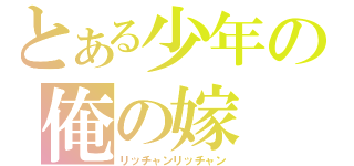 とある少年の俺の嫁（リッチャンリッチャン）