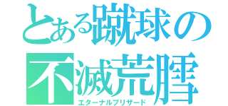 とある蹴球の不滅荒膤（エターナルブリザード）