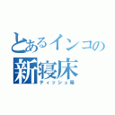 とあるインコの新寝床（ティッシュ箱）