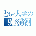 とある大学の９６猫溺愛狂（ブラックキャット）