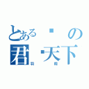 とある岚の君临天下（羽翔）